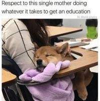 B36D2714-97DA-4577-9F07-46E71C1C4DC8.jpeg