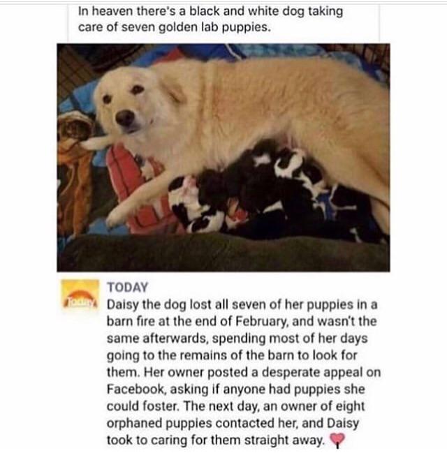B43B54C6-50EA-4EBA-AA71-F02EB14A50CE.jpeg