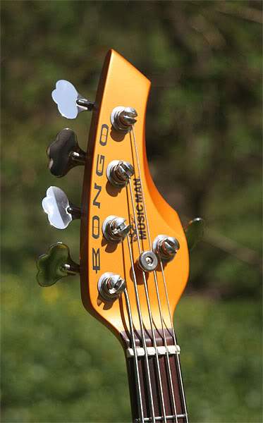 B5.JPG
