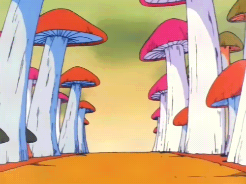 b50b195098258bf778f982189e53851a.gif