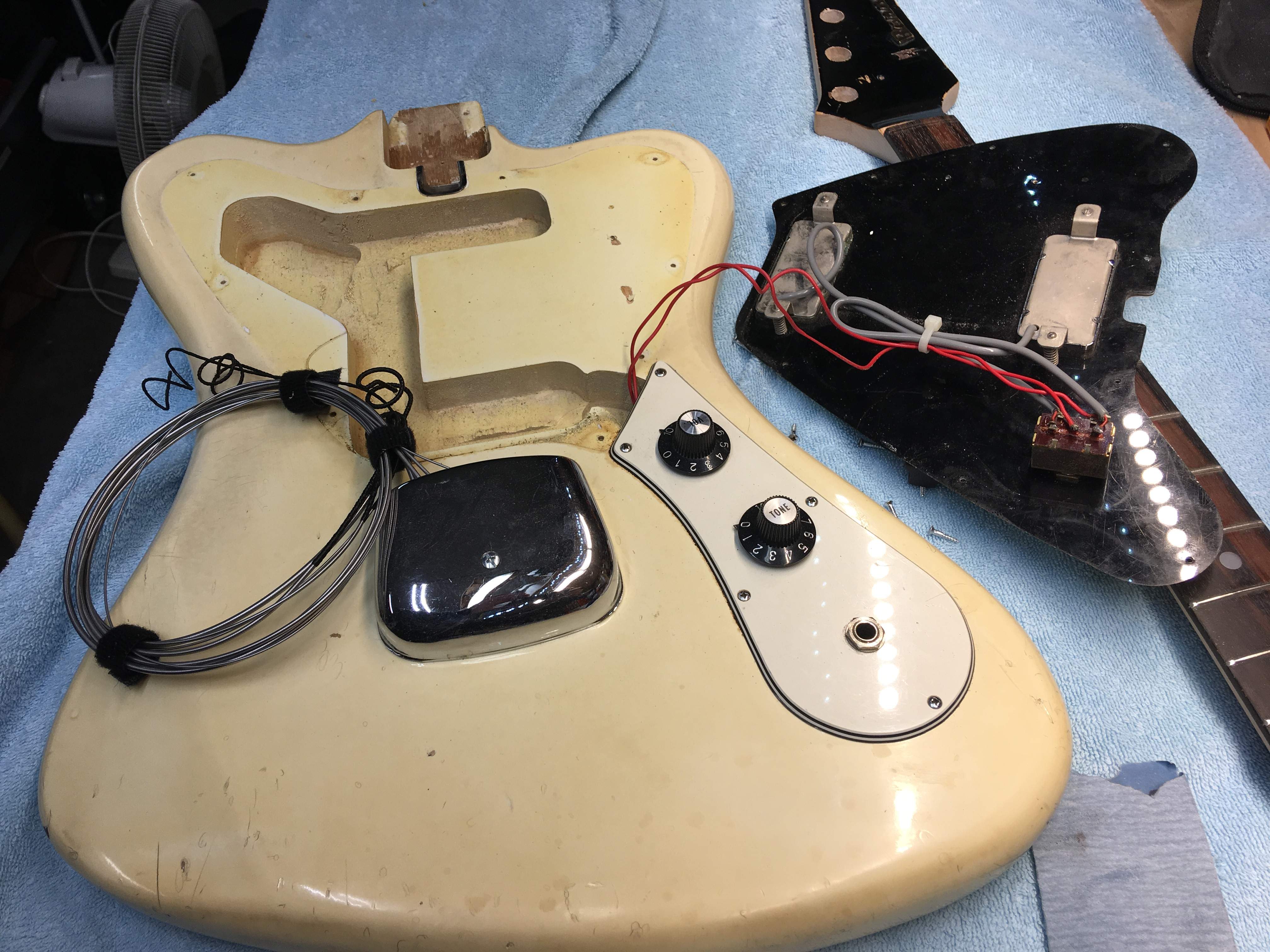 B5292FBF-4DAC-4442-B472-A99F368A0197.jpeg