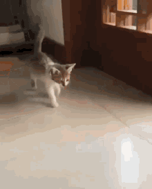 B57D9A36-54A3-4C19-AB89-9B70EC0D4B70.gif