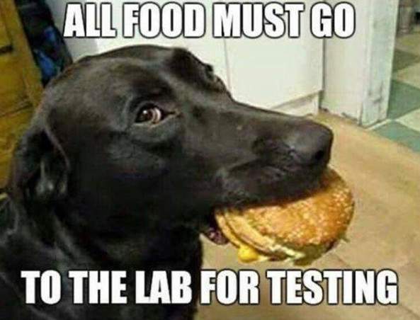 B5F6BE41-FEBB-481F-A6E1-01E526E583AC.jpeg