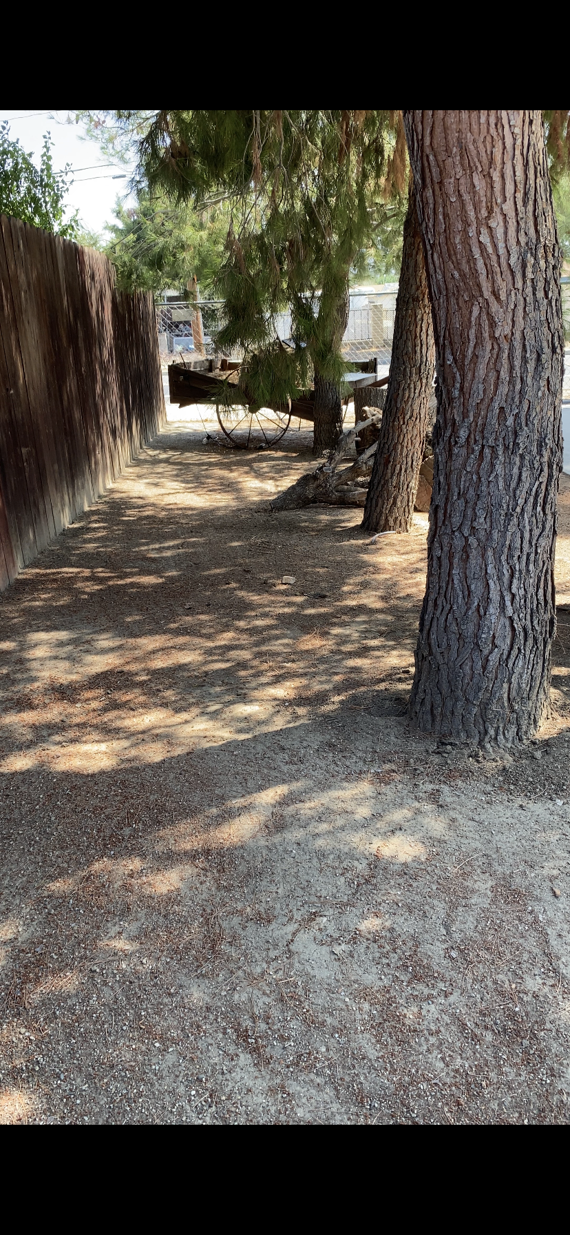 B6126E7E-DD76-46EE-BA0B-542BE6729EF8.png