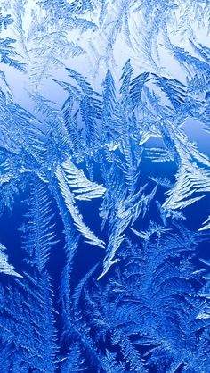B95F9F95-ECF4-4F8E-A11A-32302E1E9F96.jpeg