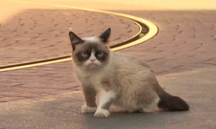 b9ac8ece900b26430d47be4bb4b427d7.gif