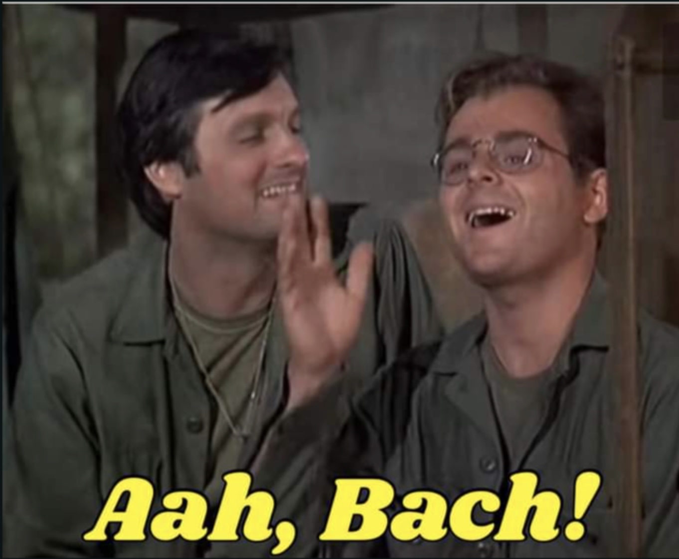 Bach1.jpg