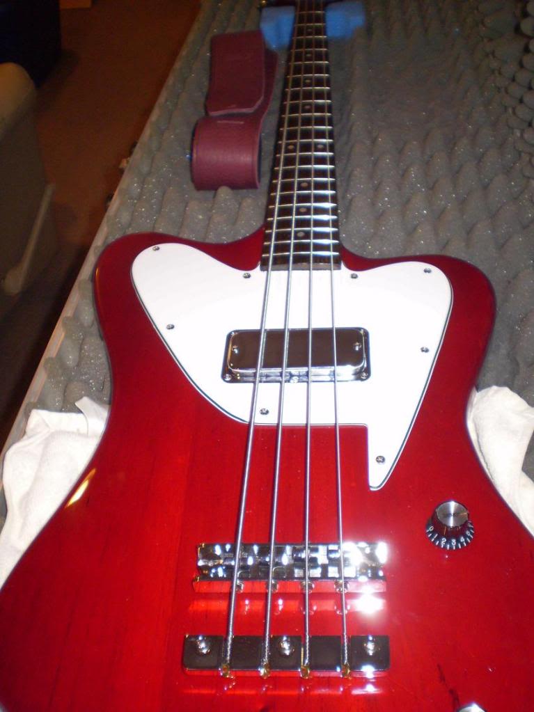 BACHTUNEUP2.jpg