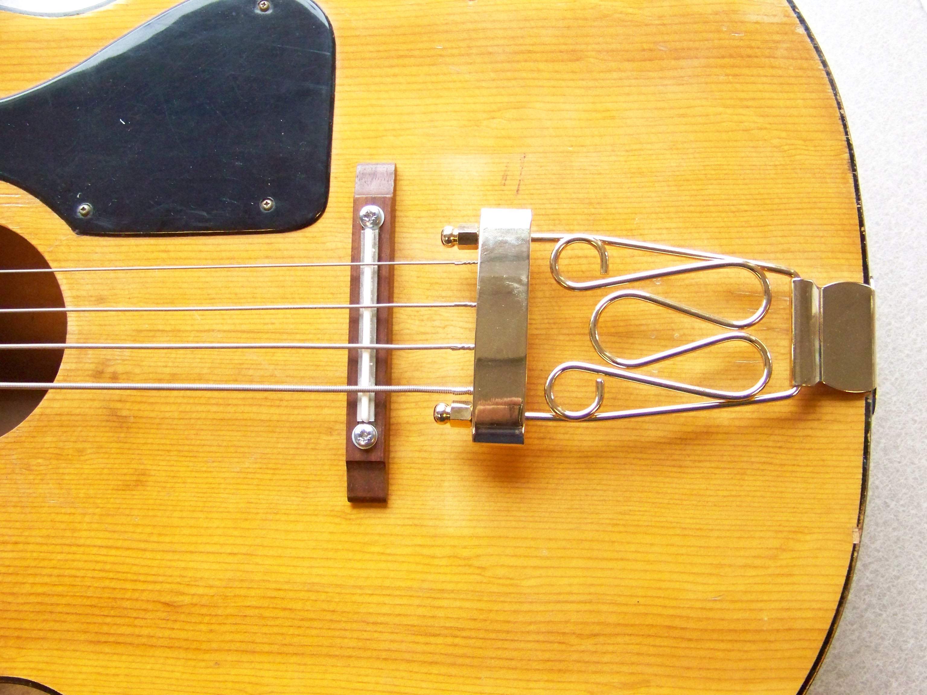 Back (2).JPG