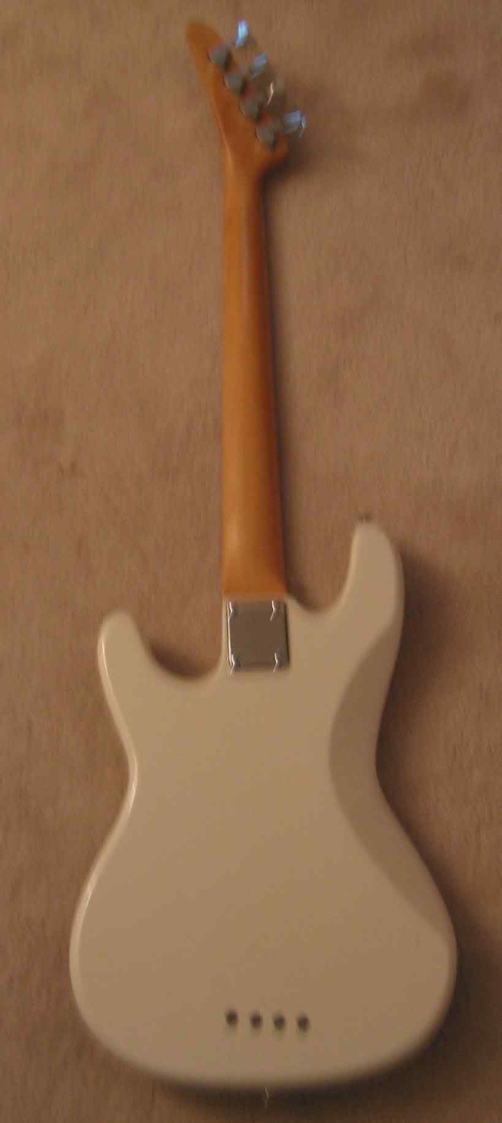 back.jpg