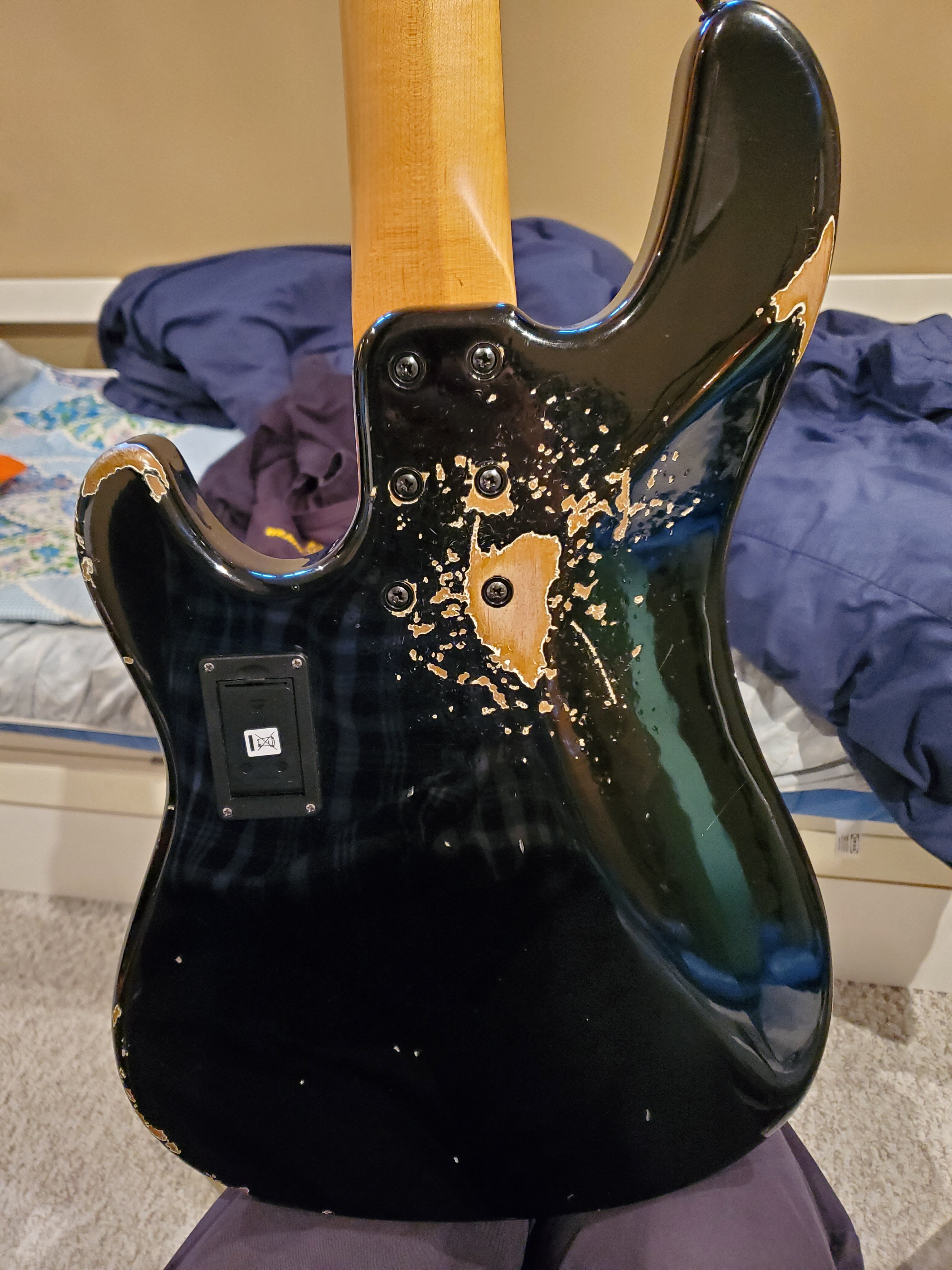 Back.jpg