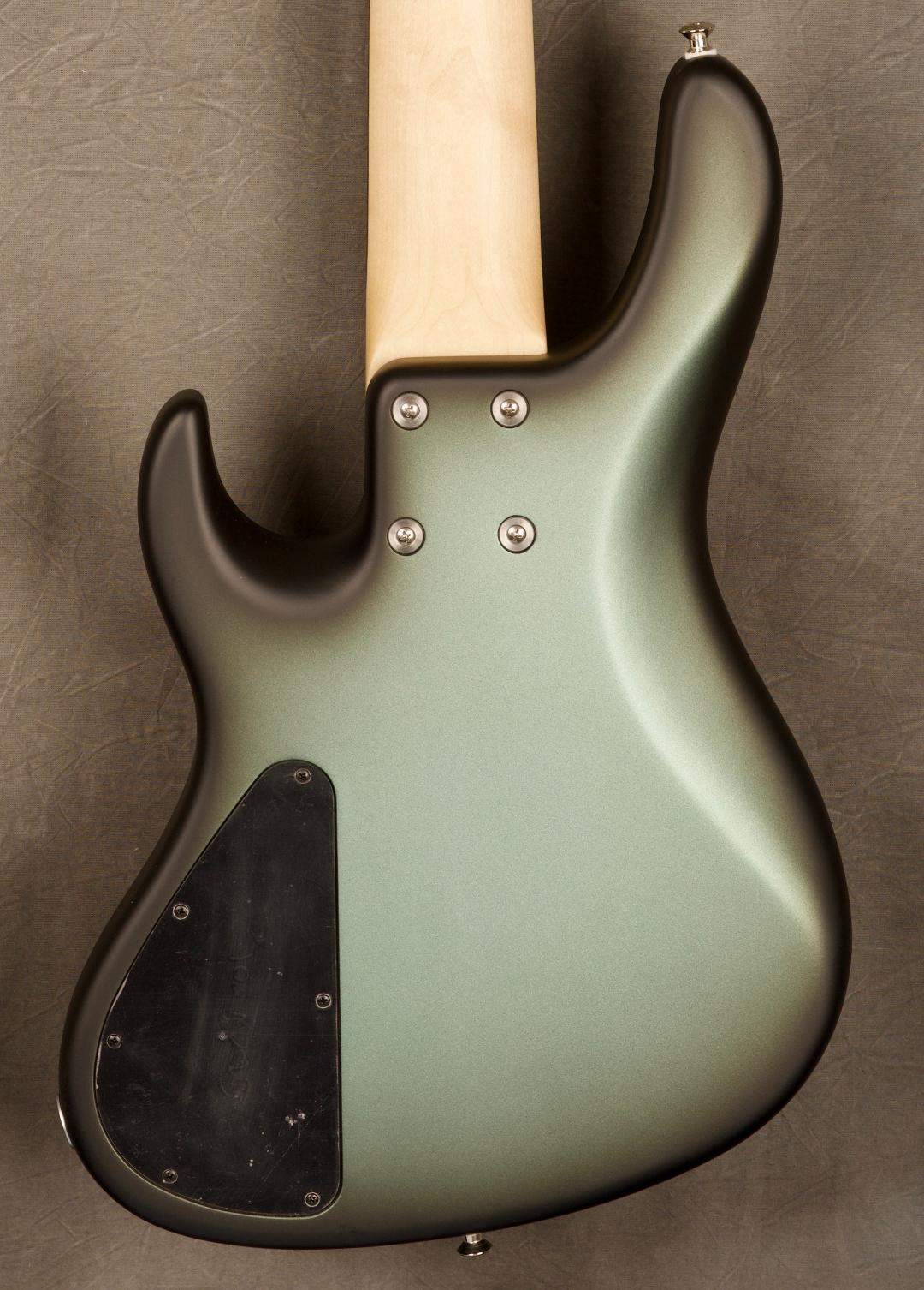 back_2.jpg