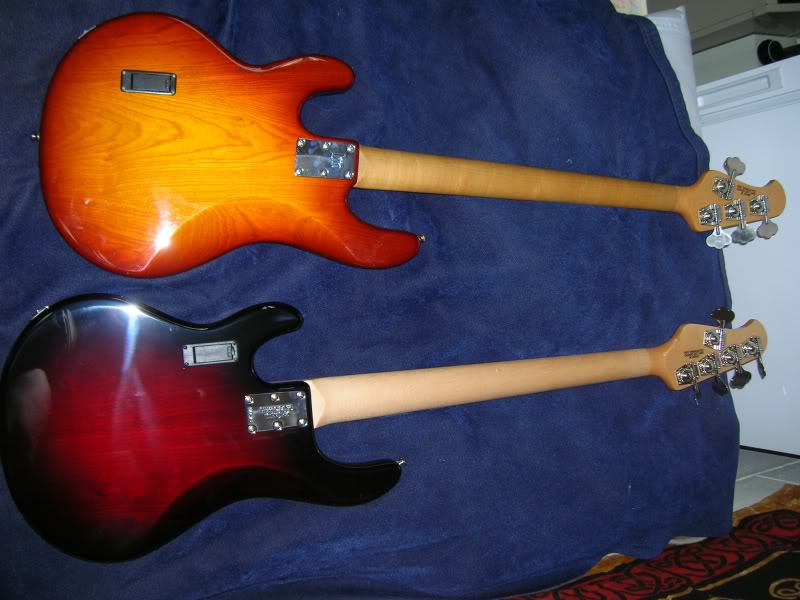 BackBasses.jpg