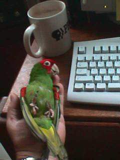 backcup.jpg