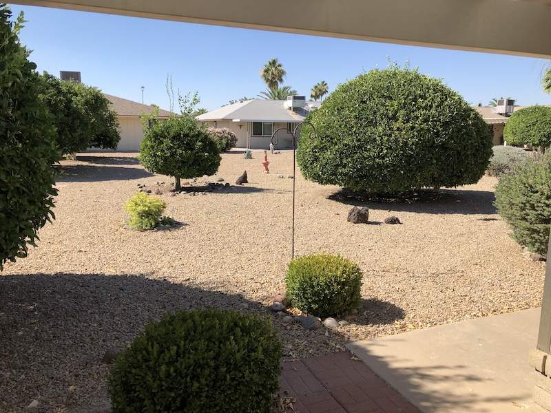 backyard.jpg