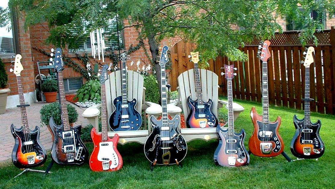 backyard02.jpg