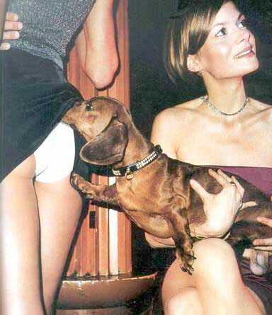 baddog.jpg