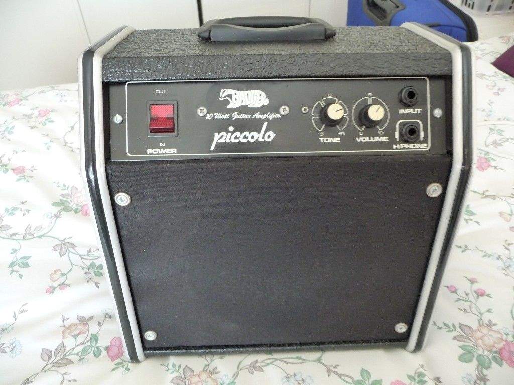 badger amp.JPG