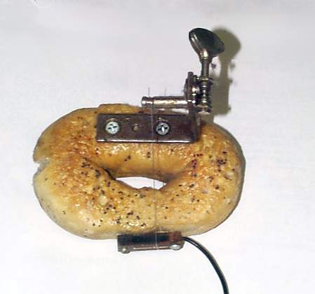 bagel.jpg