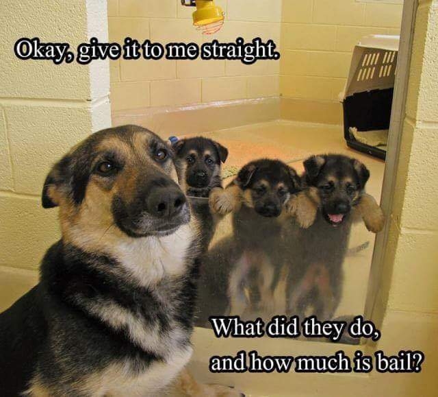 bail-3420886685.jpg