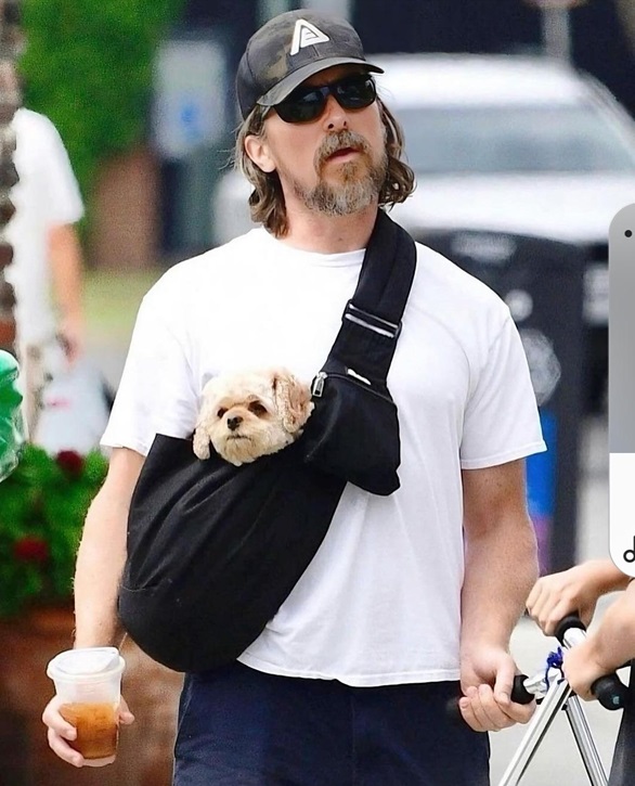 Bale dog.jpg