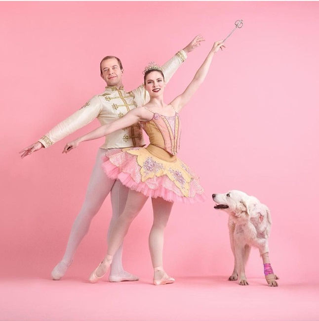 ballet dog 2.jpg
