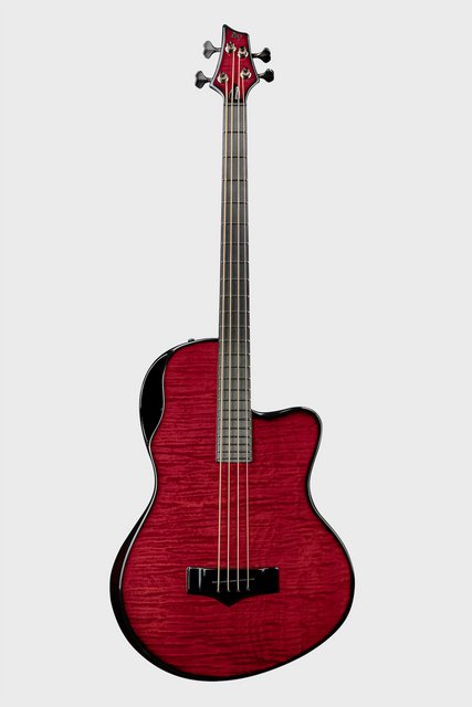 Balor4-F-Maple.jpg