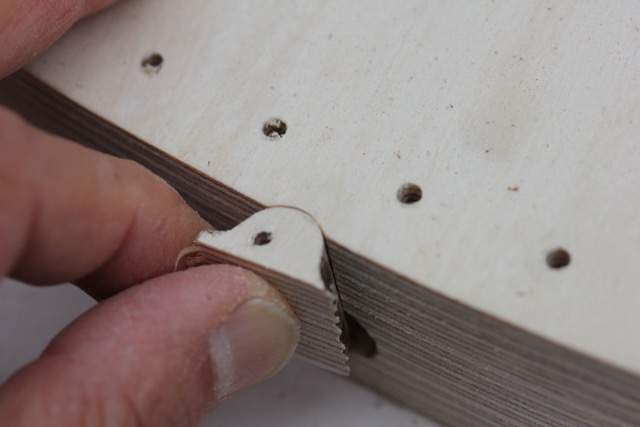 baltic_birch_plug_small.jpg