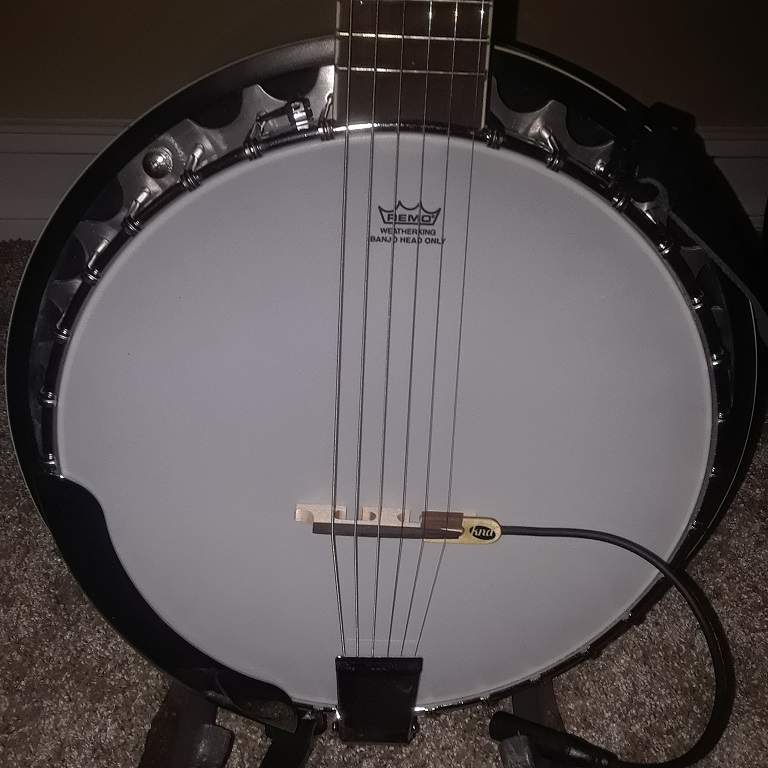 Banjo Pickup.jpg