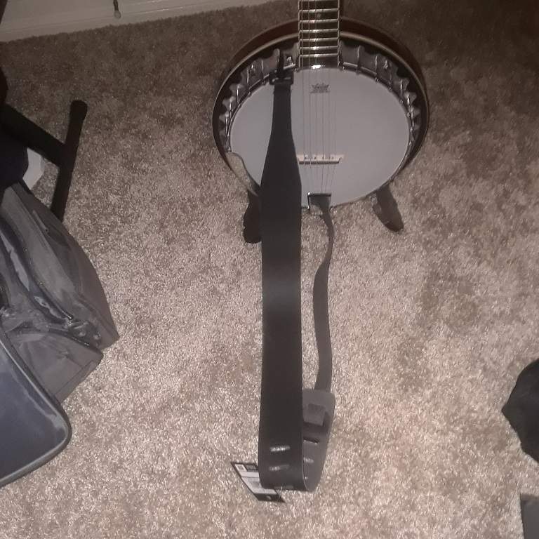 Banjo Strap.jpg