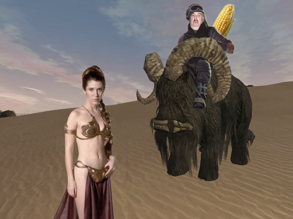 BanthaFodderTatooine.jpg
