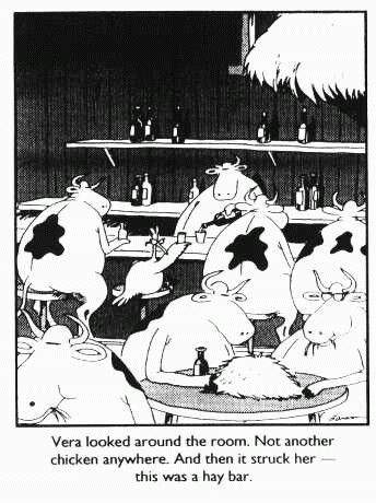 Bar1.jpg