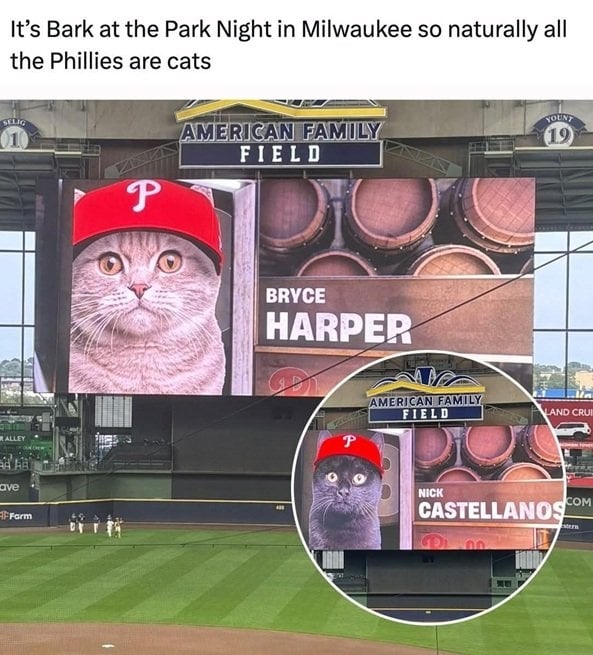 bark park.jpg