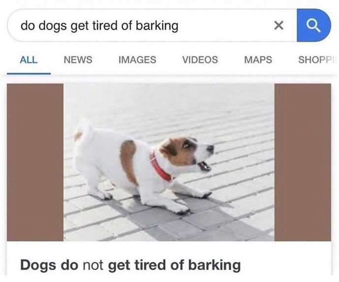 barking.jpg