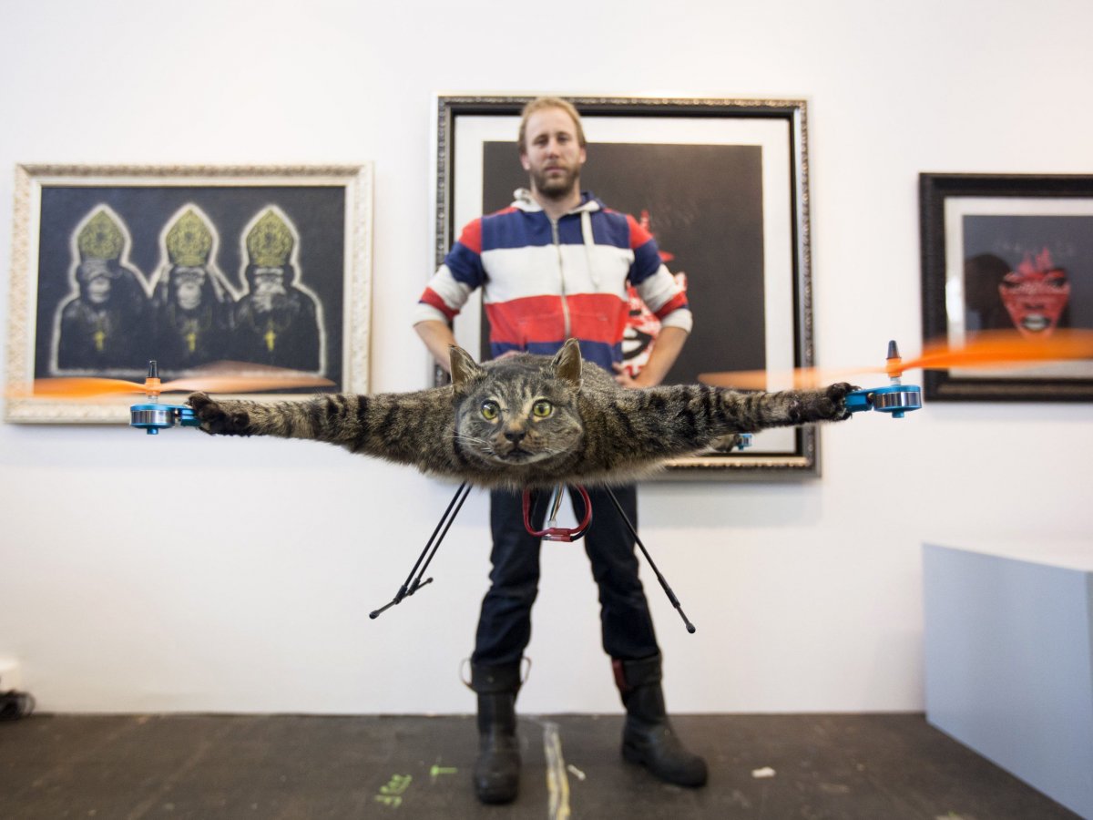bart-jansen-dead-cat-drone-posing.jpg