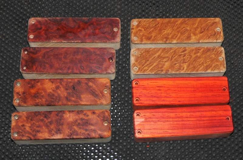 BartP2_5string_WoodenCovers_VariousTop.jpg