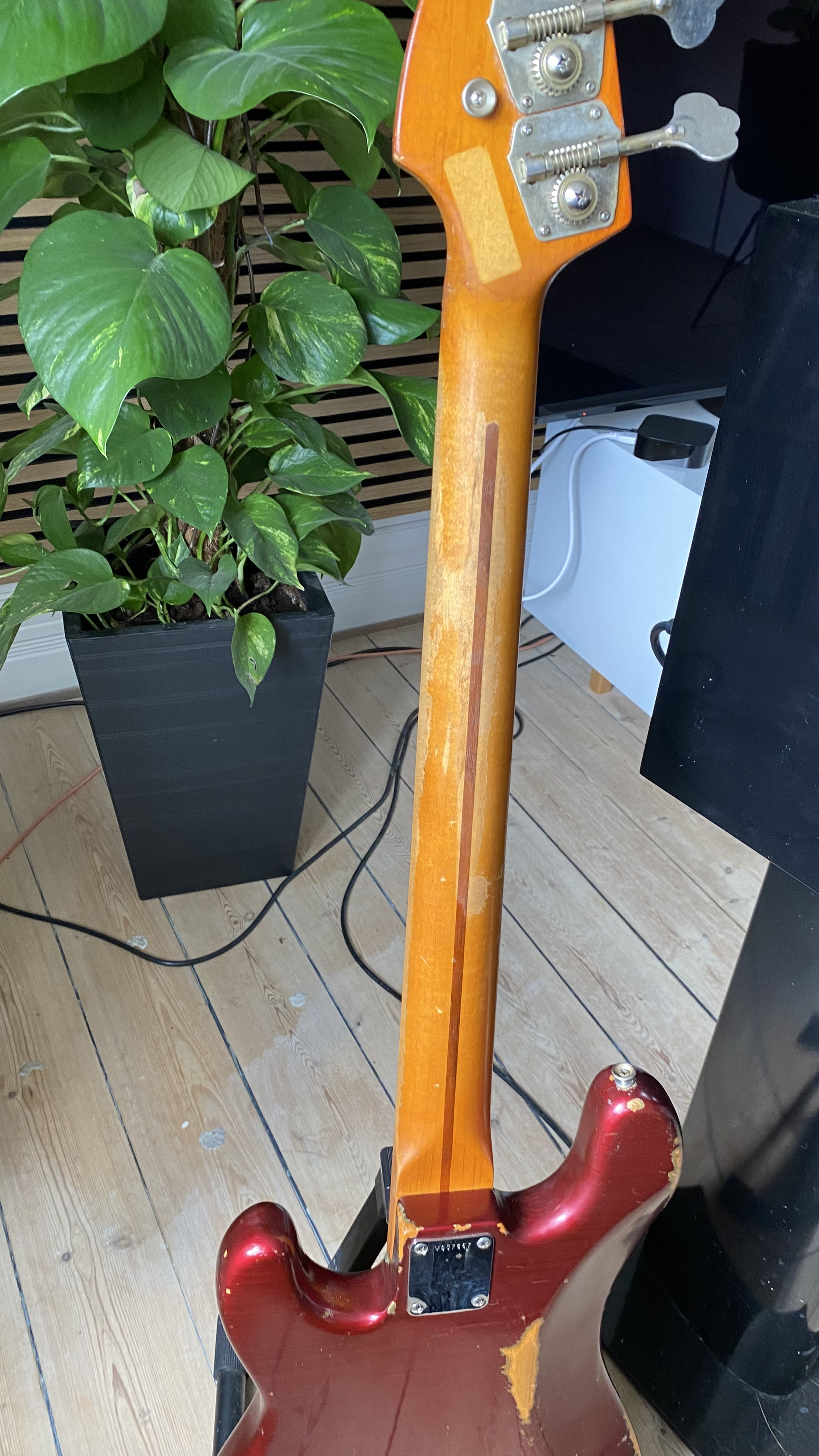bas 4?.png