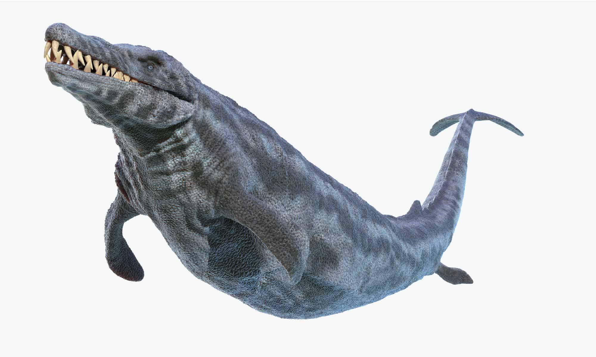 Basilosaurus-1.jpg
