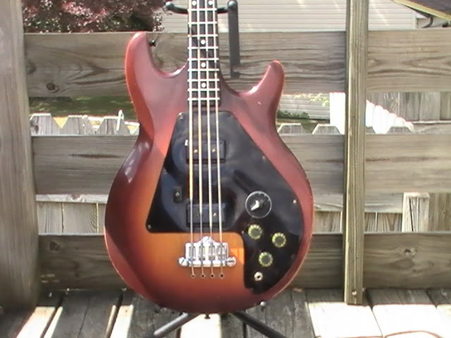Bass-09.jpg