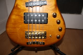 bass-1.jpg