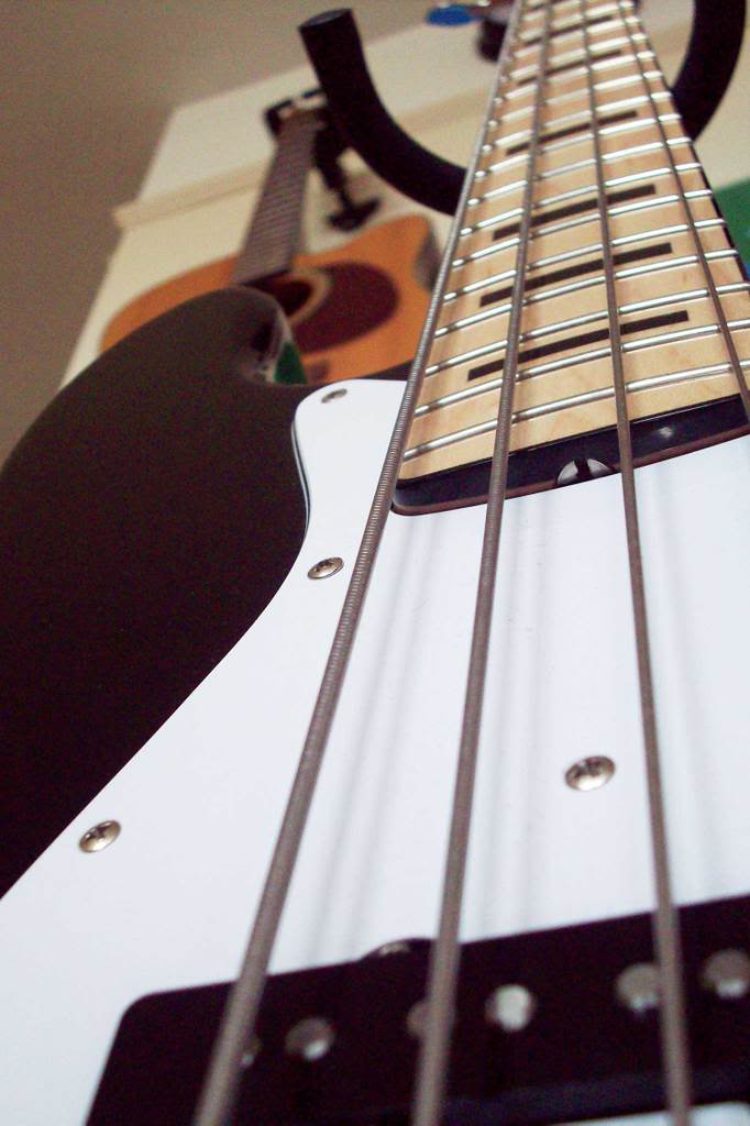 bass-1.jpg