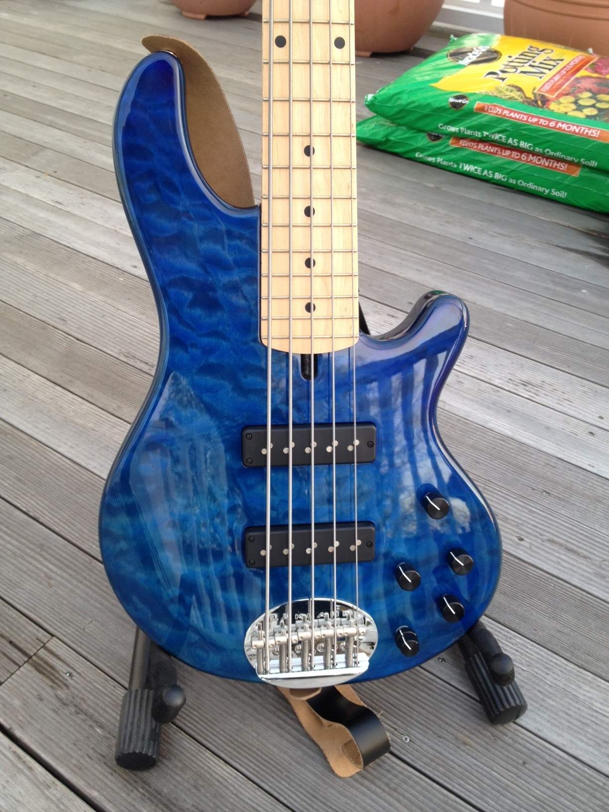 Bass 1.JPG