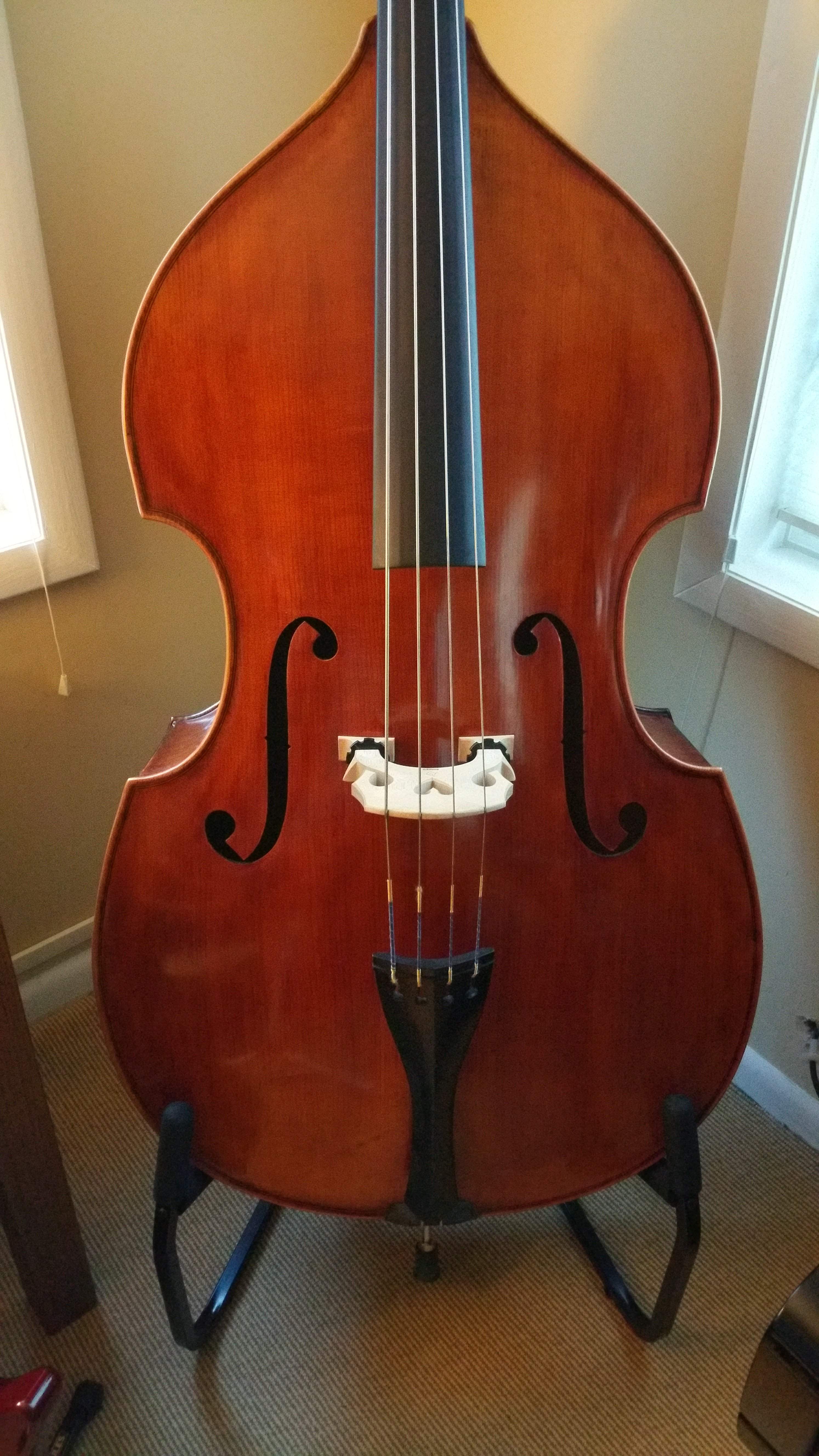 bass 1.jpg
