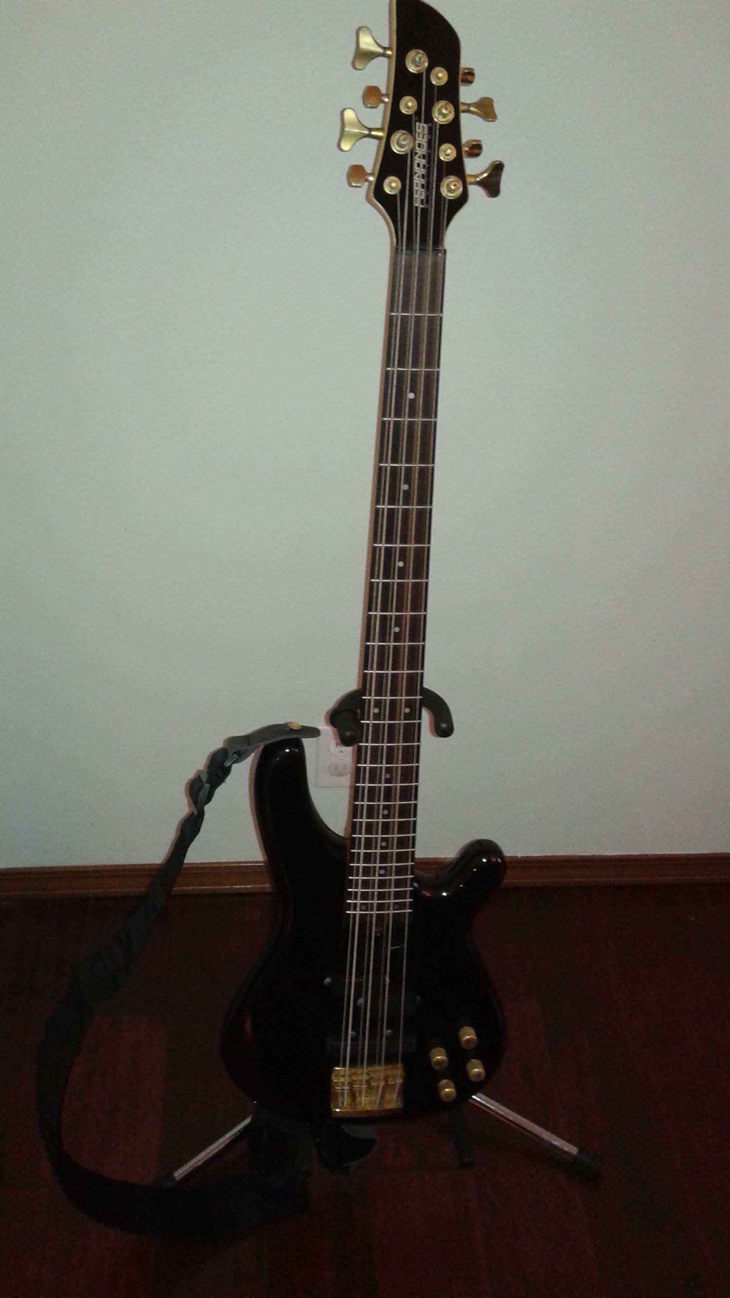 bass 1.jpg