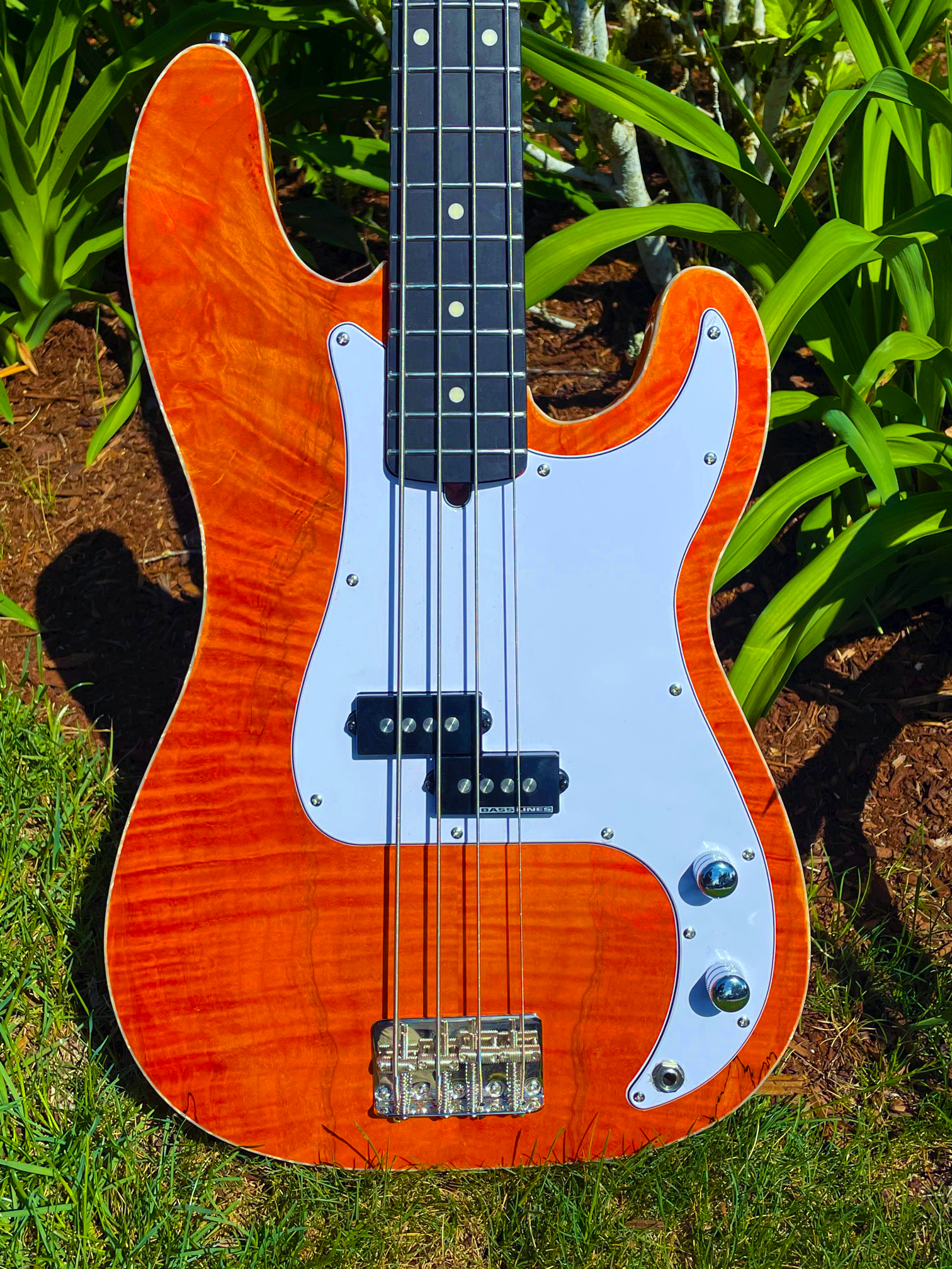 Bass 1.png