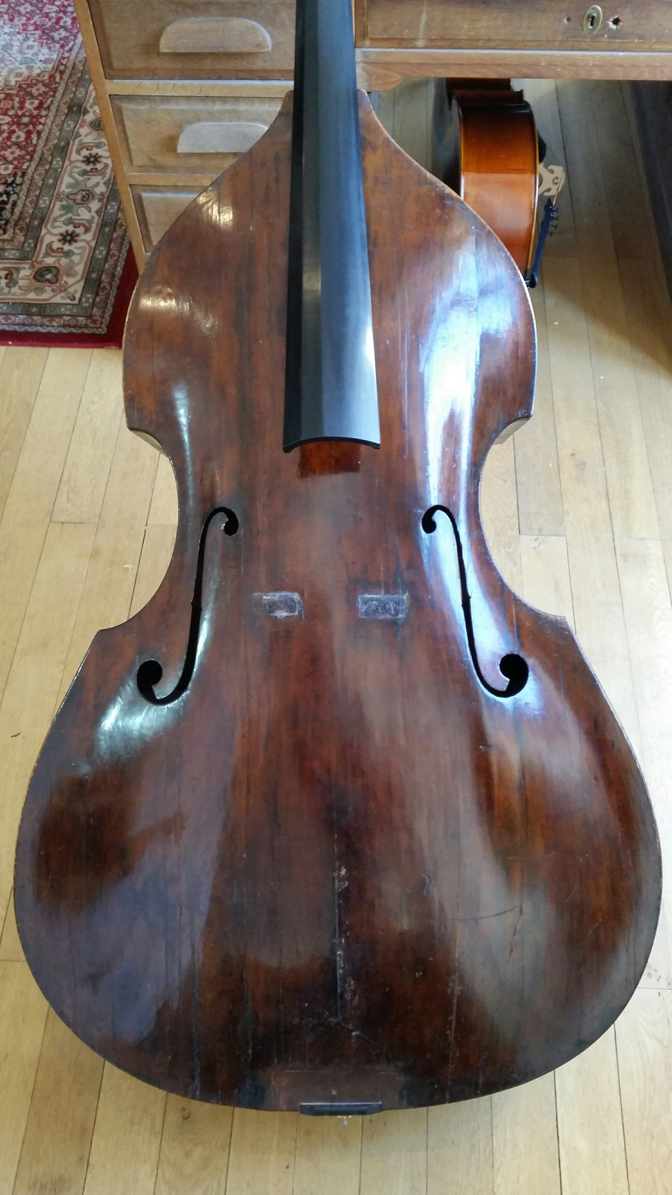 bass 18th century.jpeg