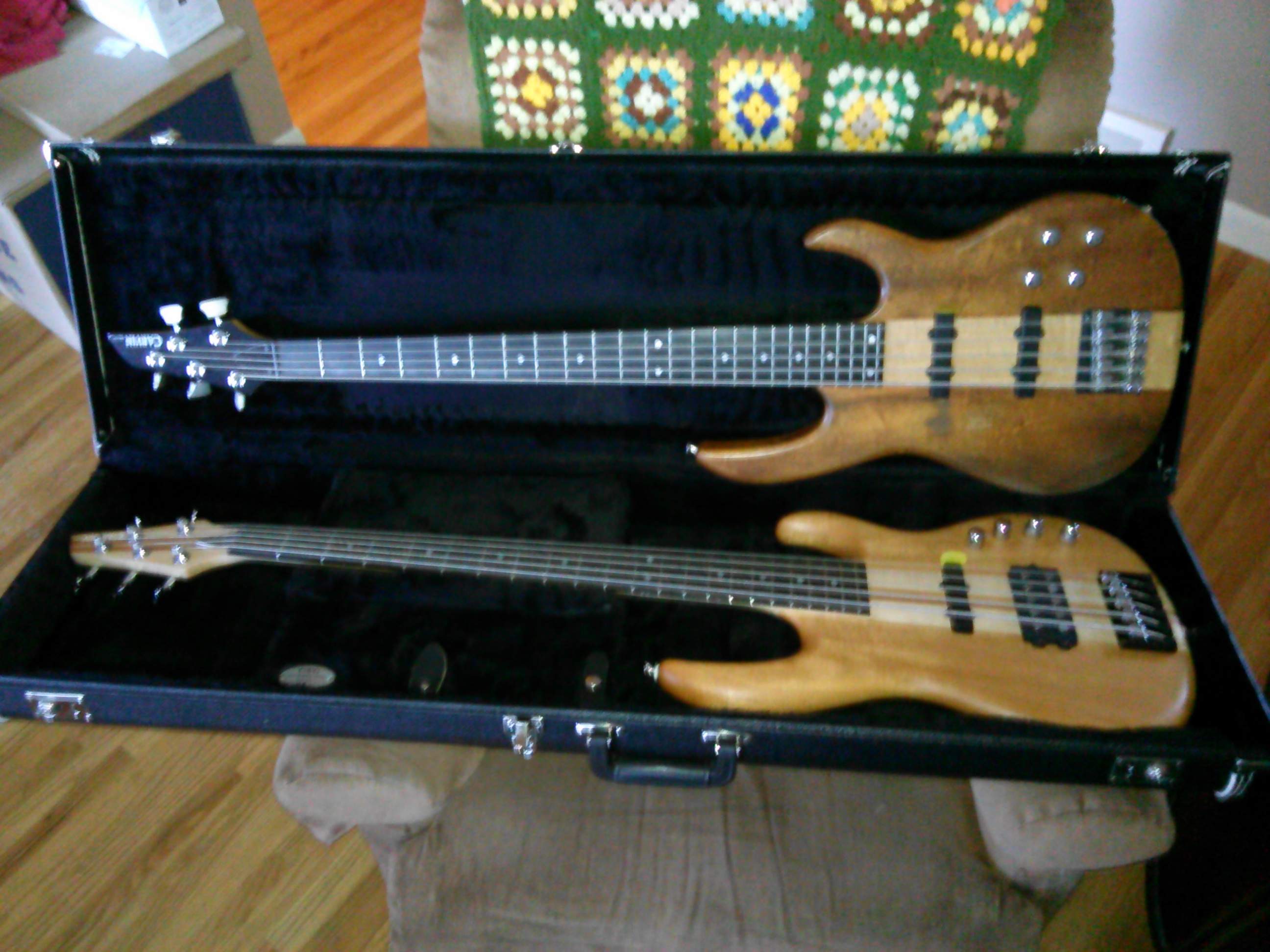 bass (2).jpg