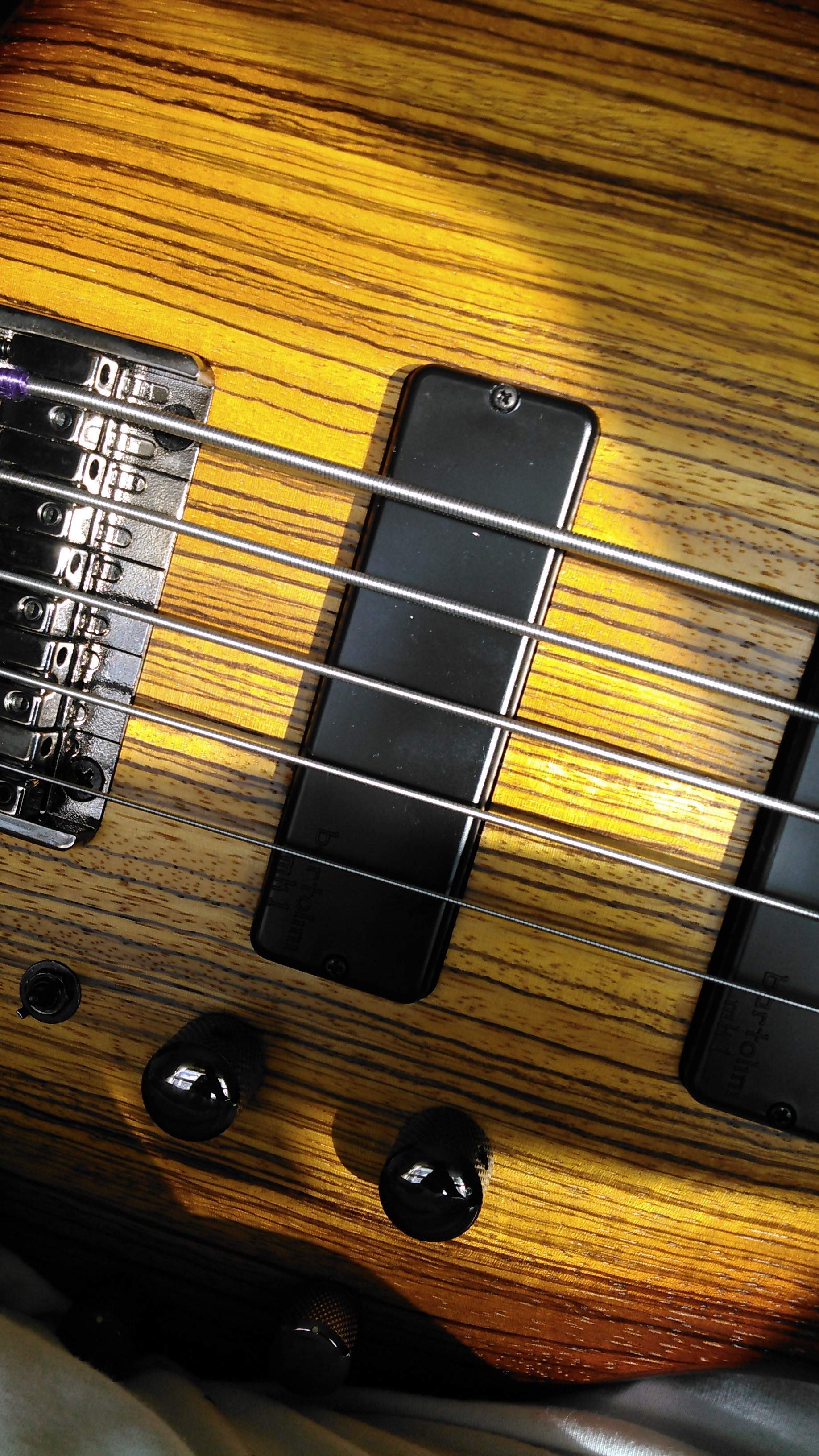 bass 2.jpg