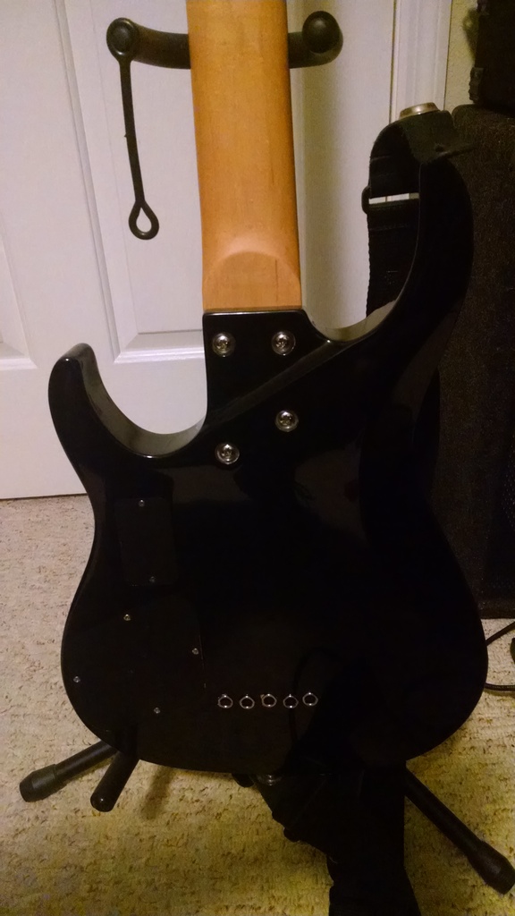 Bass%20Back.jpg