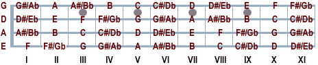 Bass%20Fretboard.gif